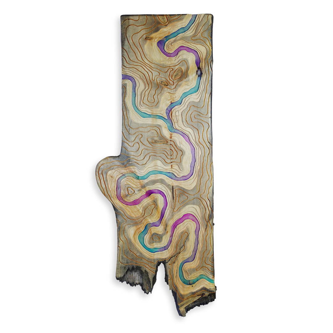 'Arteries of the Earth' Live Edge Topographical Riverscape