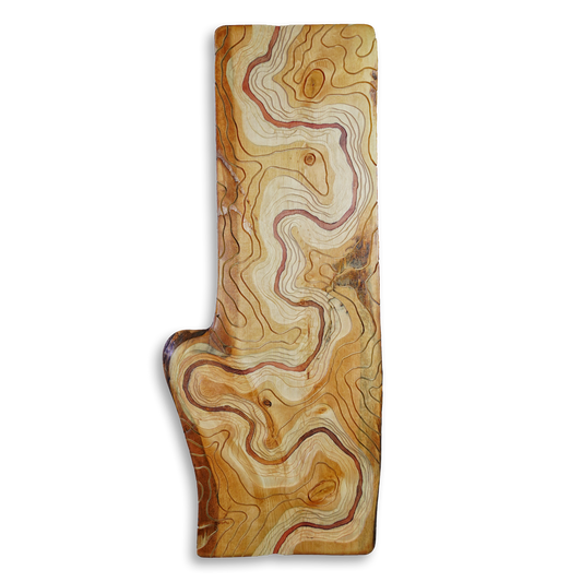 "Arteries of the Earth' Live Edge Carved Topographical Riverscape