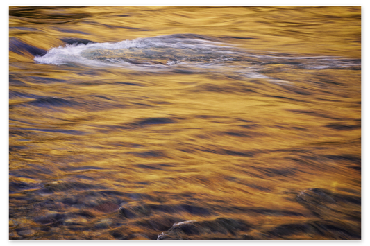 Fluid Sunrise