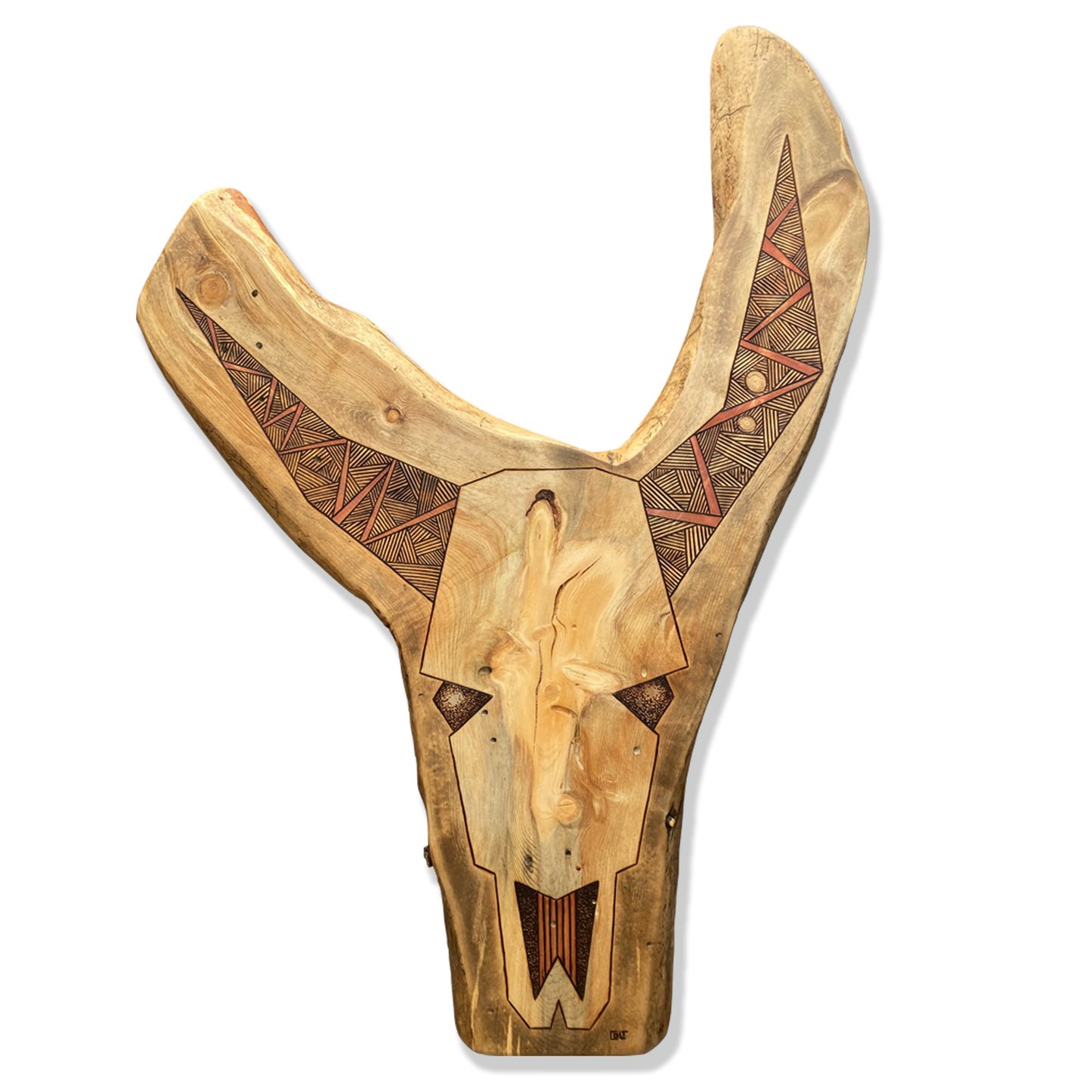 Bison Skull No. 001