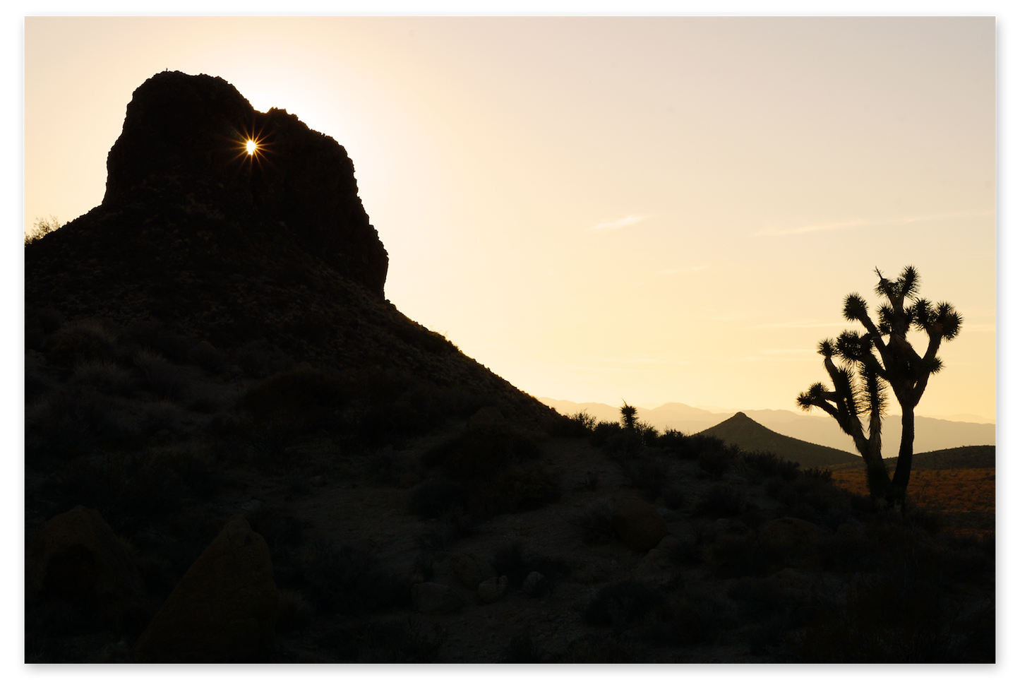 Shamans Eye