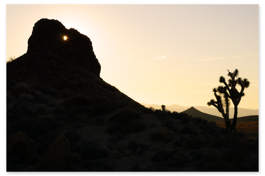 Shamans Eye