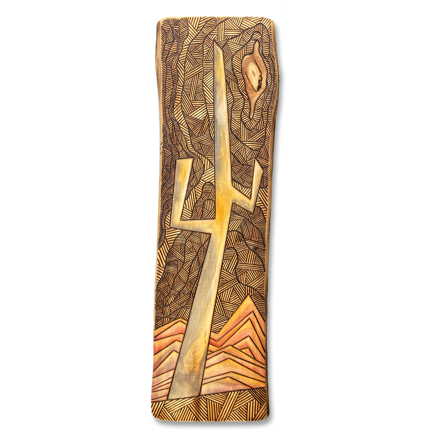 Live Edge Sonoran Saguaro No. 001