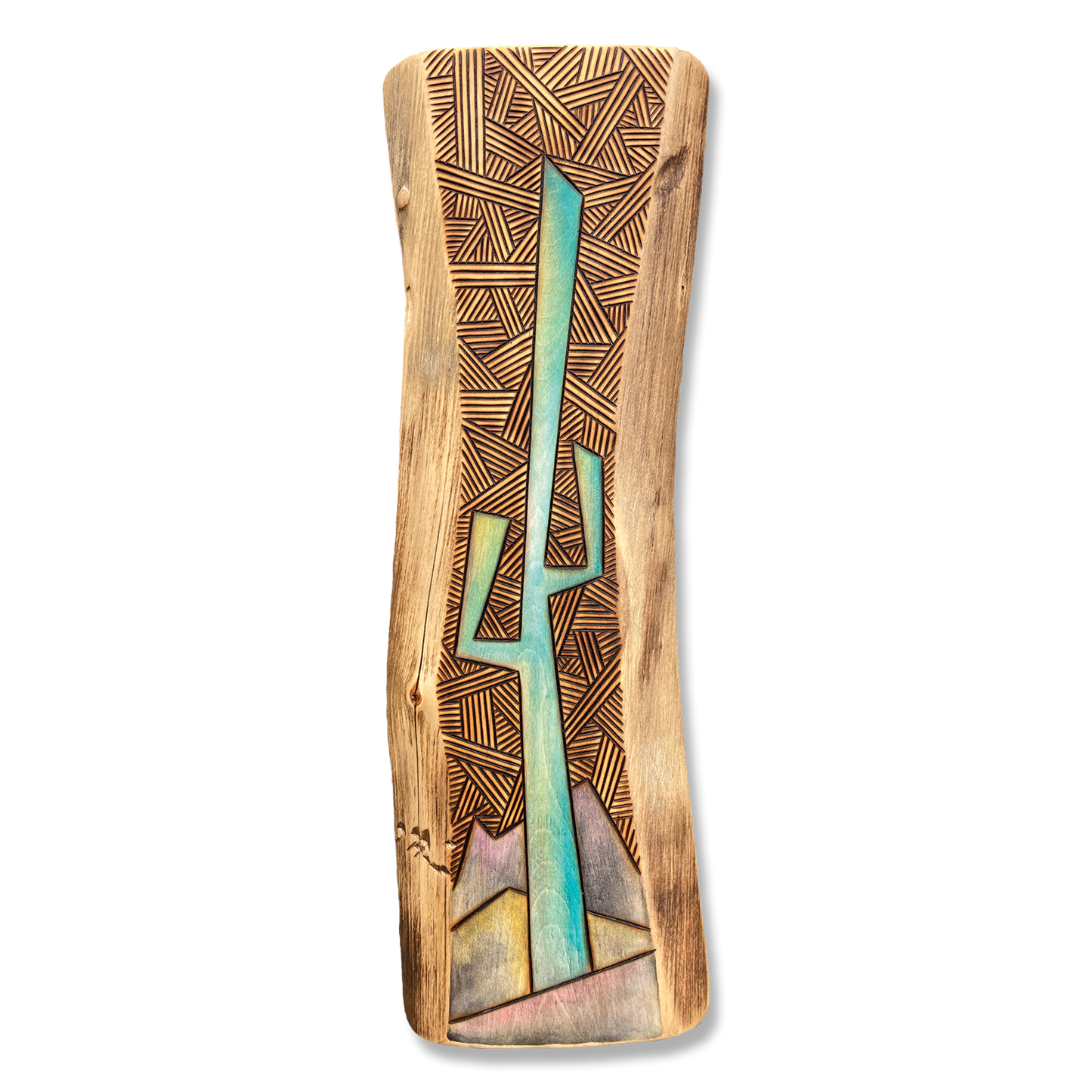 Live Edge Sonoran Saguaro No. 002