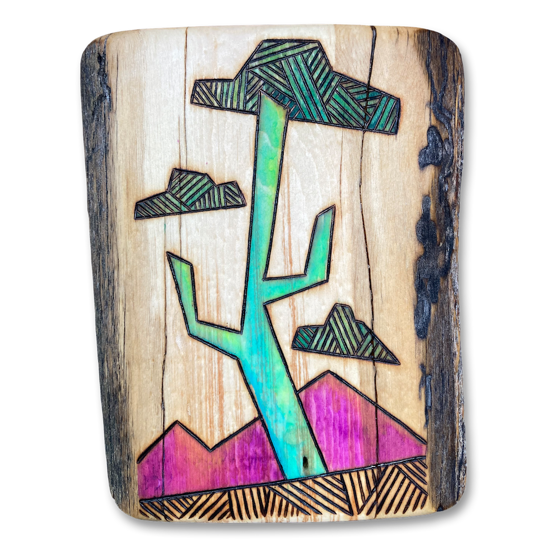 Live Edge Saguaro No. 06