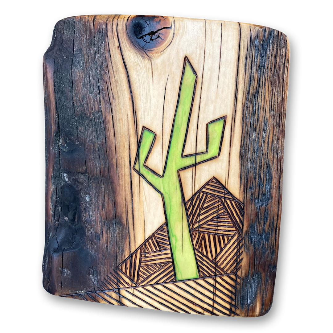 Live Edge Saguaro No. 07