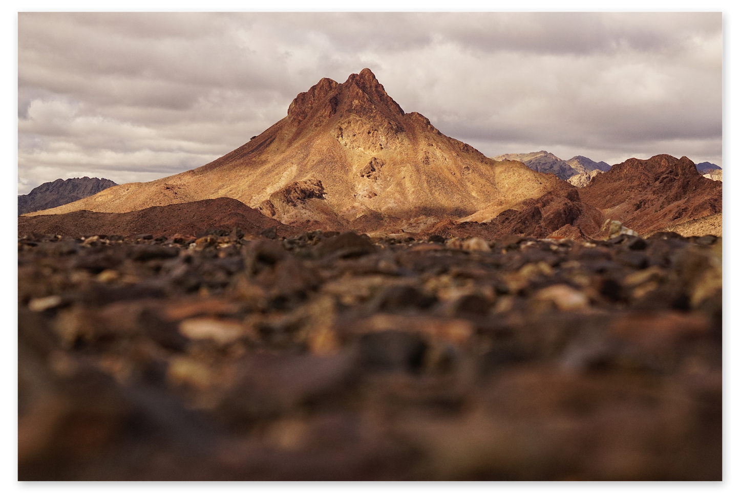 Desert Sentry