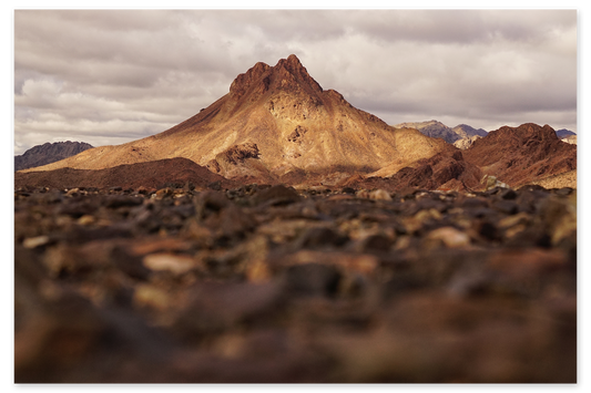 Desert Sentry