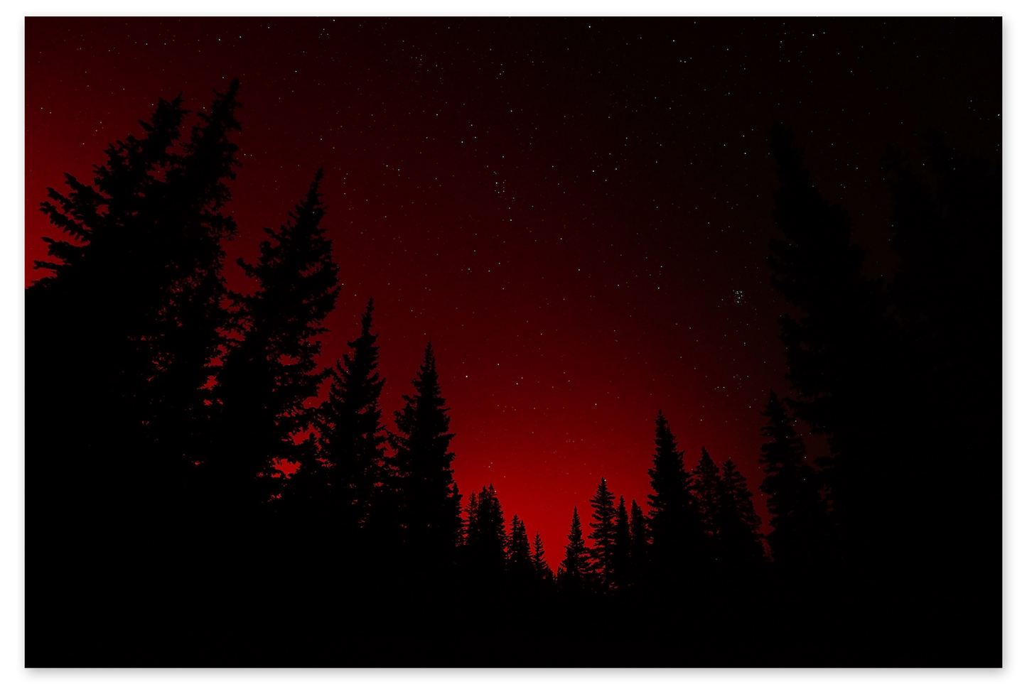 Sky Flames