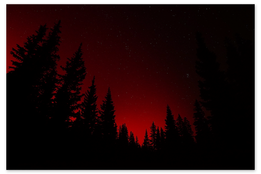 Sky Flames