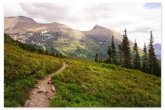 Take Me There